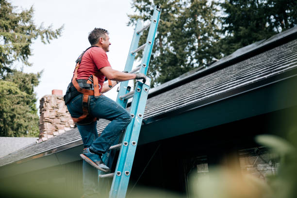 Best Emergency Roof Repair Services  in Naranja, FL